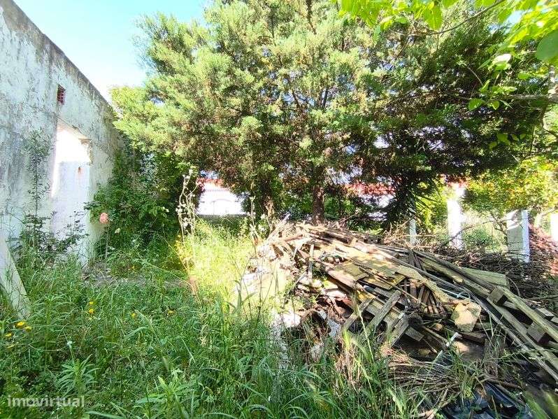 Moradia independente à venda em Vila Chã de Ourique - Grande imagem: 4/9