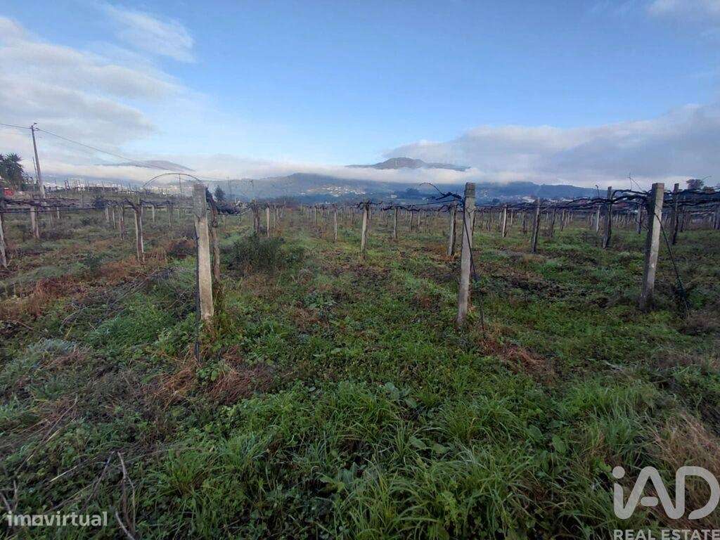 Terreno em Messegães, Valadares e Sá - Grande imagem: 3/6