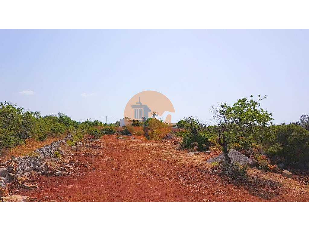 Terreno Rústico com Eletricidade e Furo - Grande imagem: 3/7