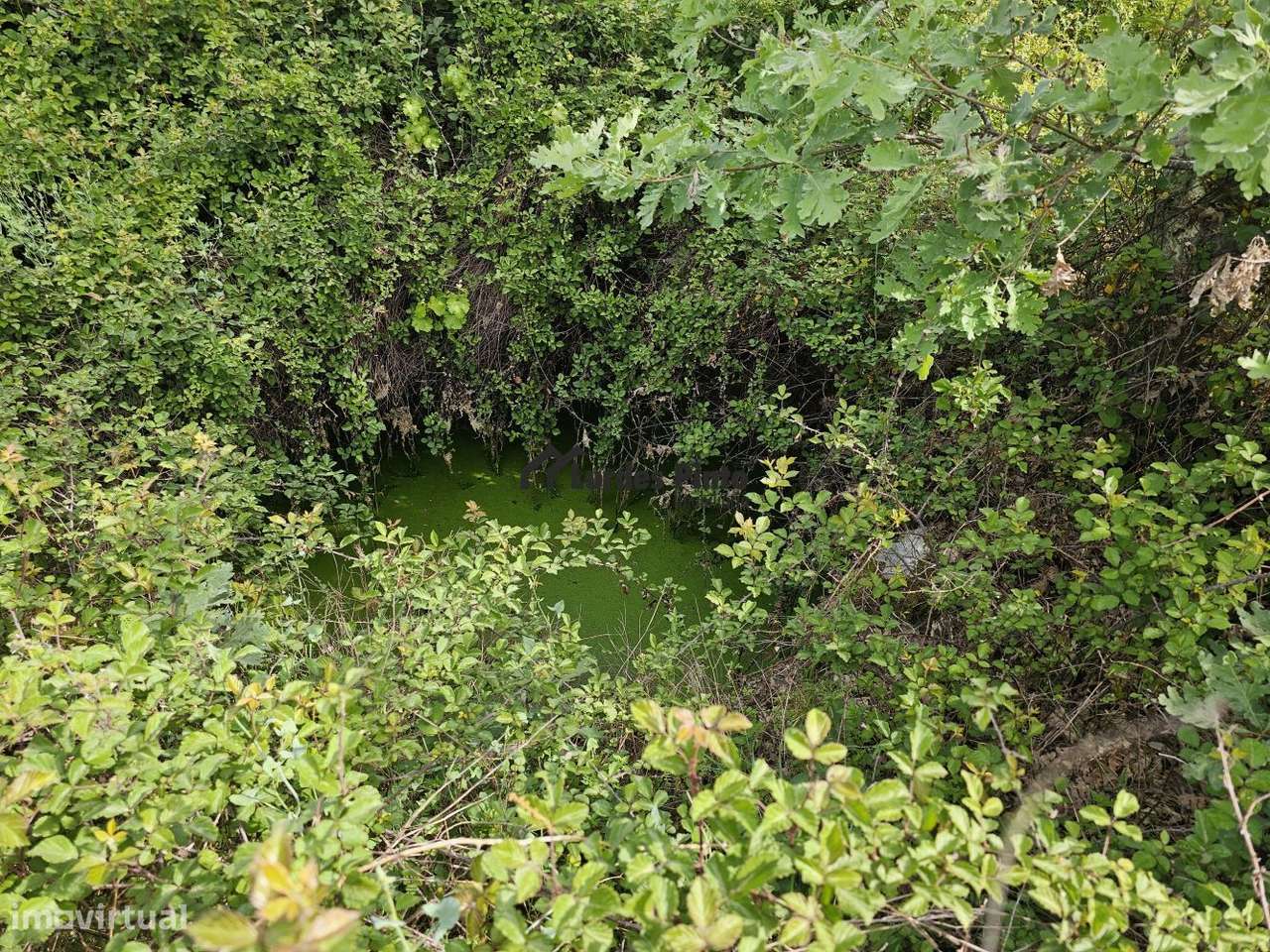 Quinta à beira do Rio Ocreza-9