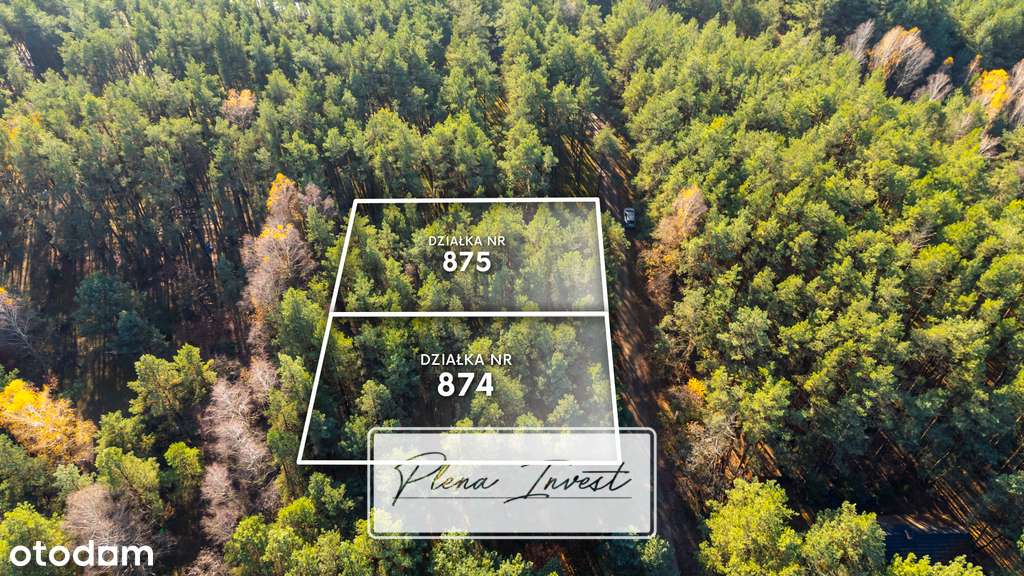 Piękny las | prywatność | plan zagospodarowania-0