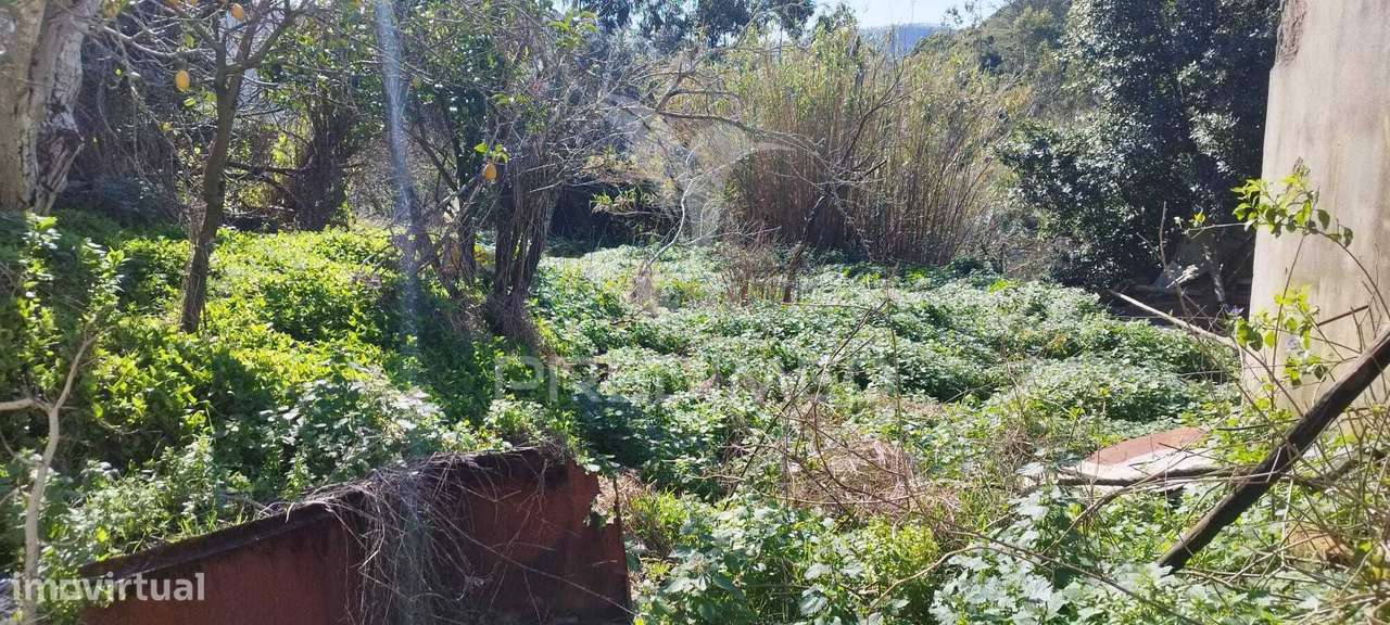 Moradia T3 para recuperar em Matacães (Torres Vedras) - Grande imagem: 5/8