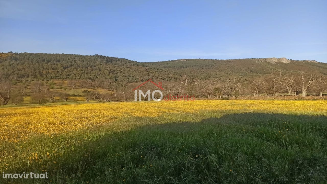 Terreno  Venda em São Salvador da Aramenha,Marvão