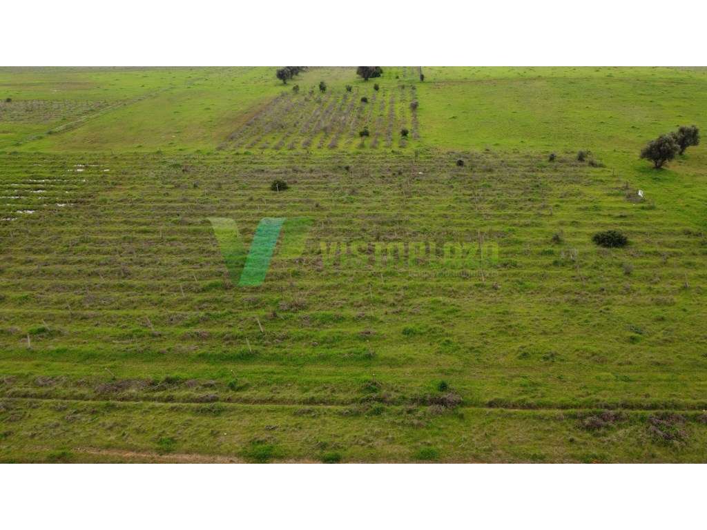 Lote de terreno rústico perto de Paderne, plano, vedado e com vista...-12