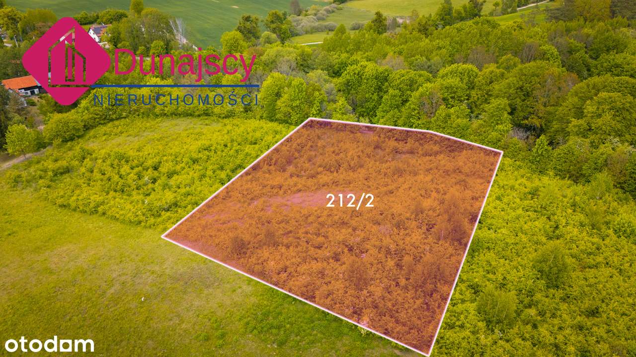 Działka, 3 016 m², Bukwałd - Pełny obrazek: 4/19