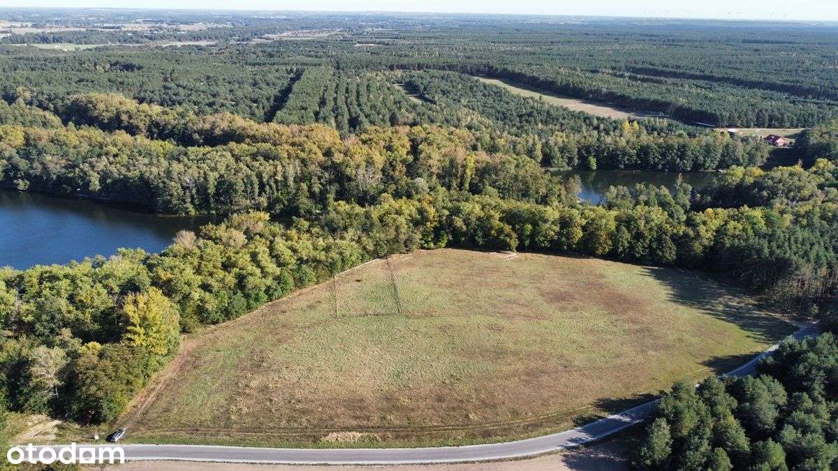 Sprzedam działki nad jeziorem i Kanałem Ślesińskim - Pełny obrazek: 5/14