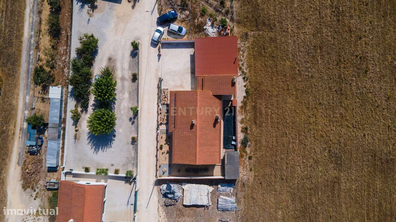 Moradia Térrea T3 com Suite, Churrasqueira e Estacionamento – Glória d - Grande imagem: 4/51