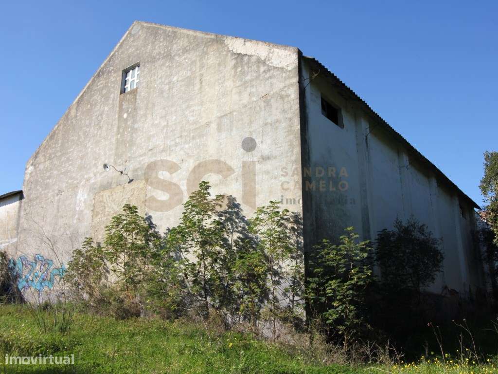 Terreno Misto em Palmela com Adega para Recuperar Loteamento - Grande imagem: 5/40