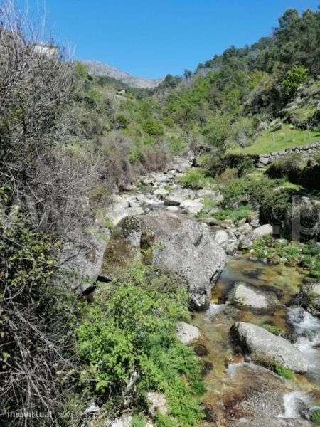 Quinta / Seia, Loriga - Grande imagem: 4/20