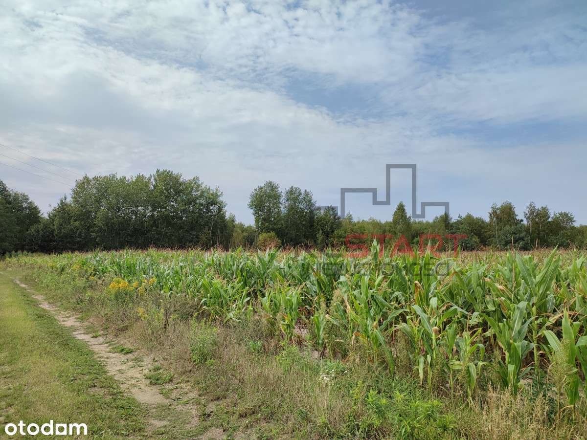 Na sprzedaż – działka siedliskowa 6,73 ha - Pełny obrazek: 4/9