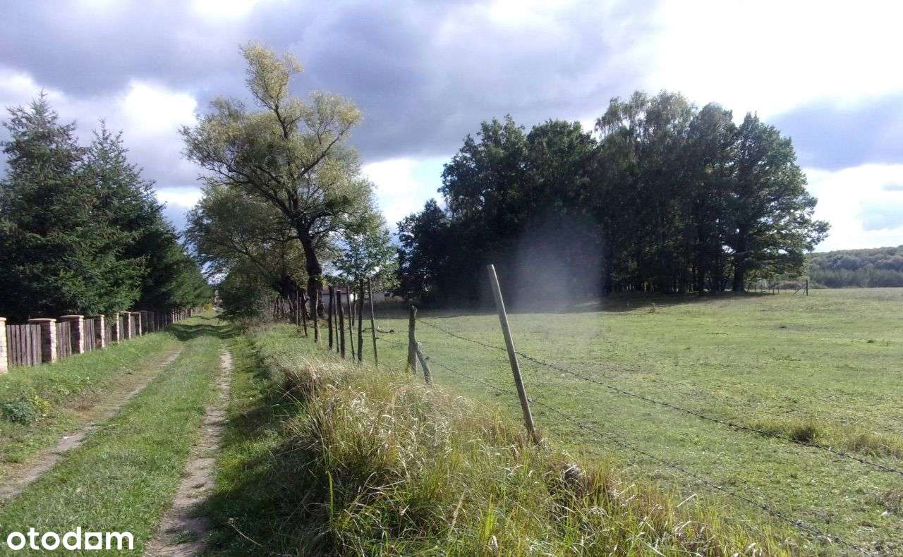 Atrakcyjna działka na skraju lasu media w drodze - Pełny obrazek: 4/8