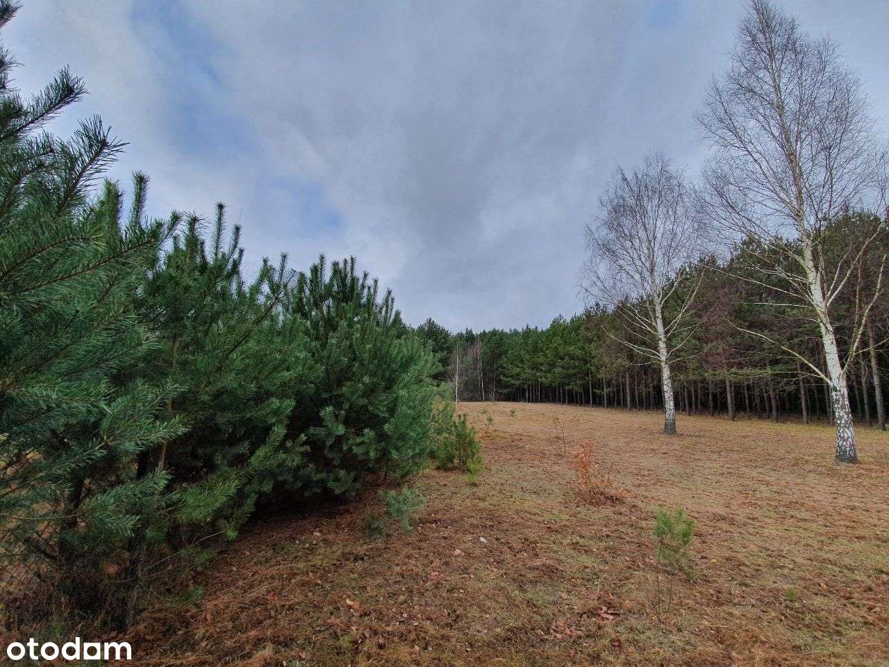 Działka, pozw. na budowę, projekt Inovia, j. Białe - Pełny obrazek: 5/19