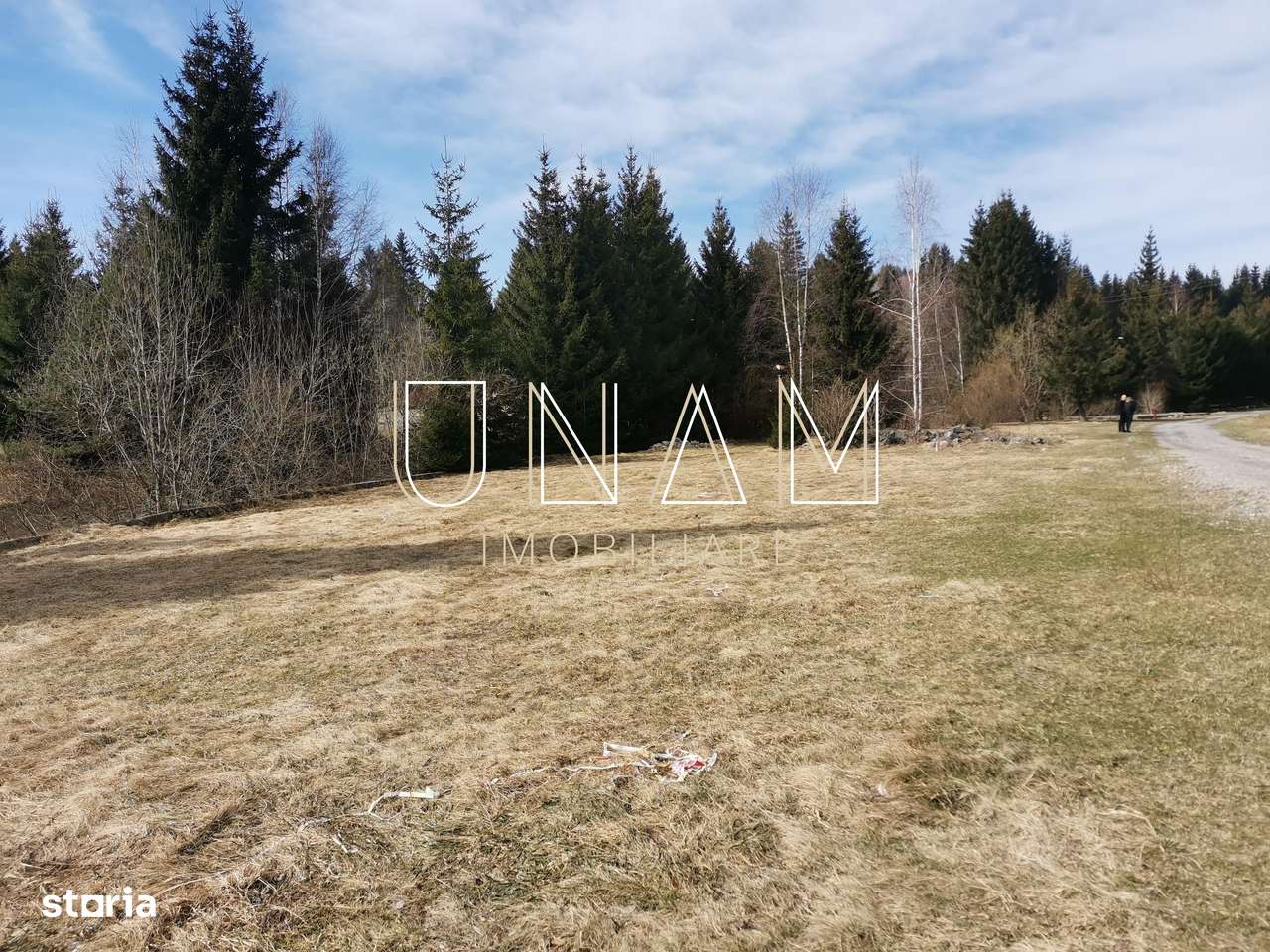 ***OFERTA NOUA*** Teren lângă Scenă, în Poiana Lupului, Gărâna-13