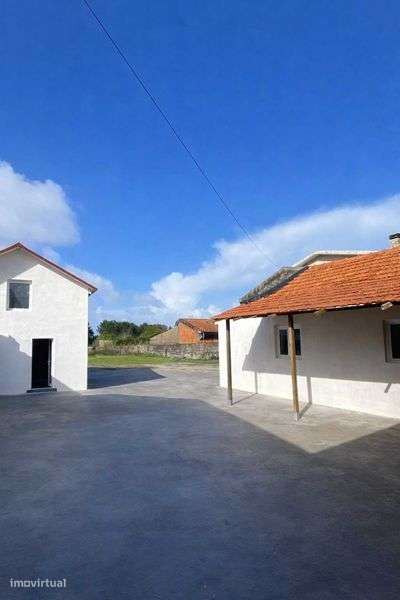 T1 para Arrendamento Mira Disponível em Março Inclui Despesas - Grande imagem: 4/12