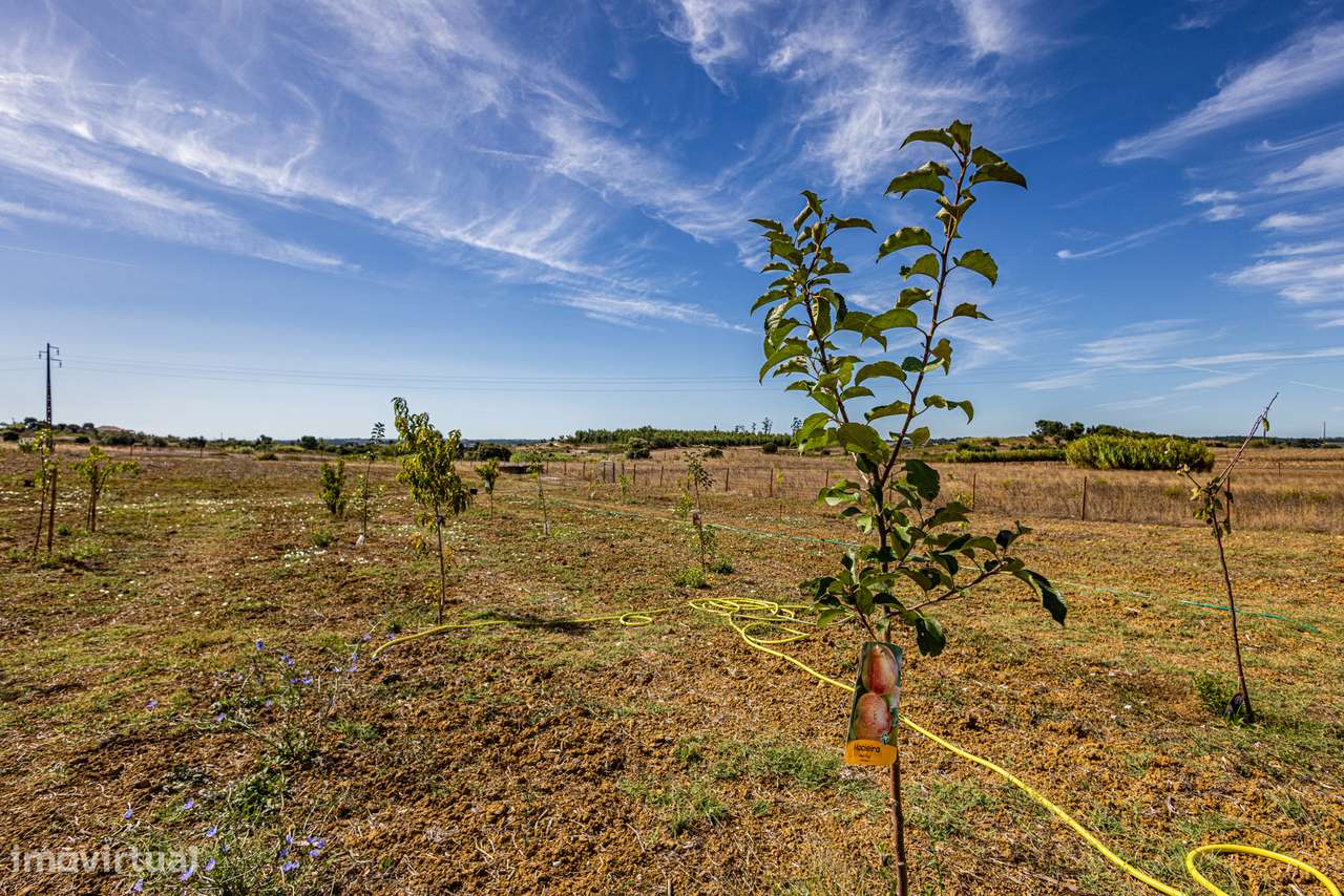 Excelente propriedade com área total de 13 680m2, localizada na Ereira-22