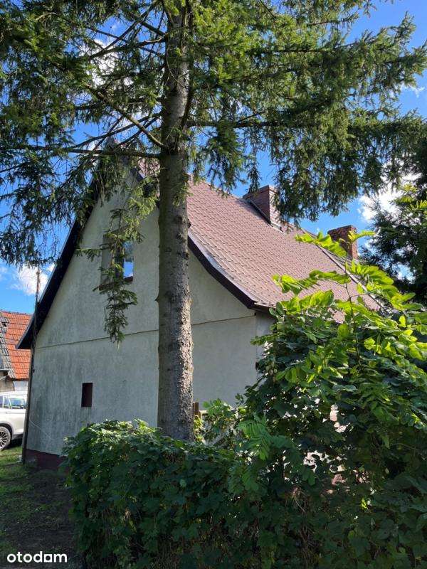 Bliźniak na sprzedaż w Gryfinie-1