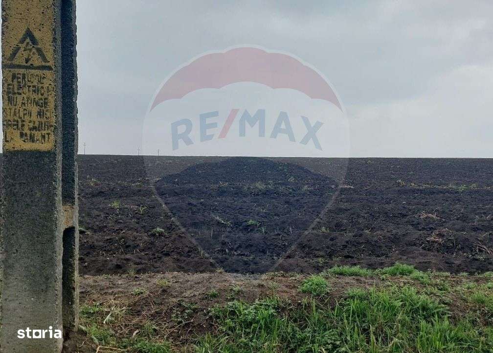 Teren agricol partial intravilan de vanzare in Filipesti jud. Bacau - Imagine principală: 4/5