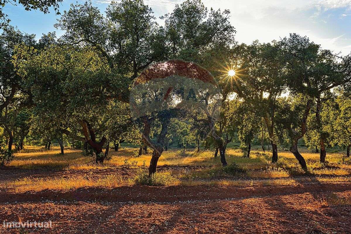 Terreno  para venda - Grande imagem: 4/13