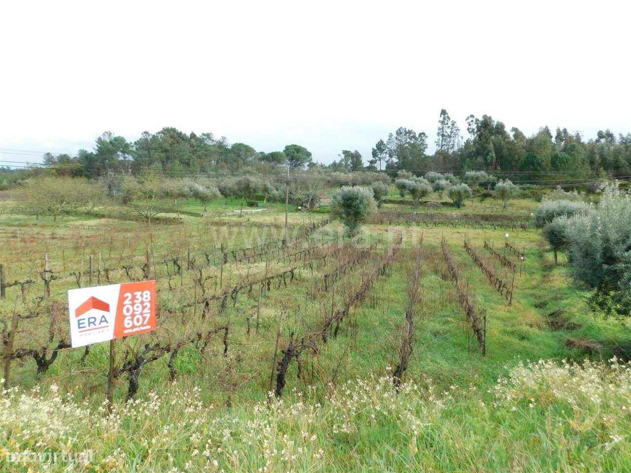 Terreno / Gouveia, Cativelos - Grande imagem: 2/3