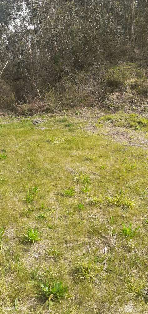 Terreno urbanizável em Sanguedo, Santa Maria da feira-7