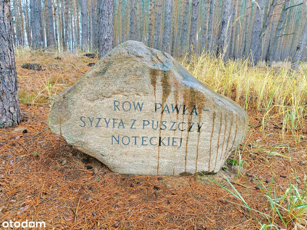 Działka z linią brzegową w Mężyku - Biała-3