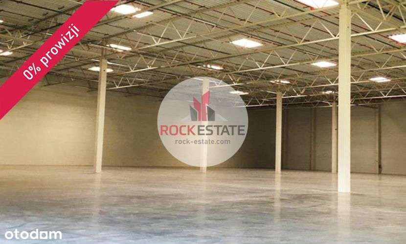 Magazyn 4,7 tyś m2, możliwa produkcja, 0% prowizji - Pełny obrazek: 5/7