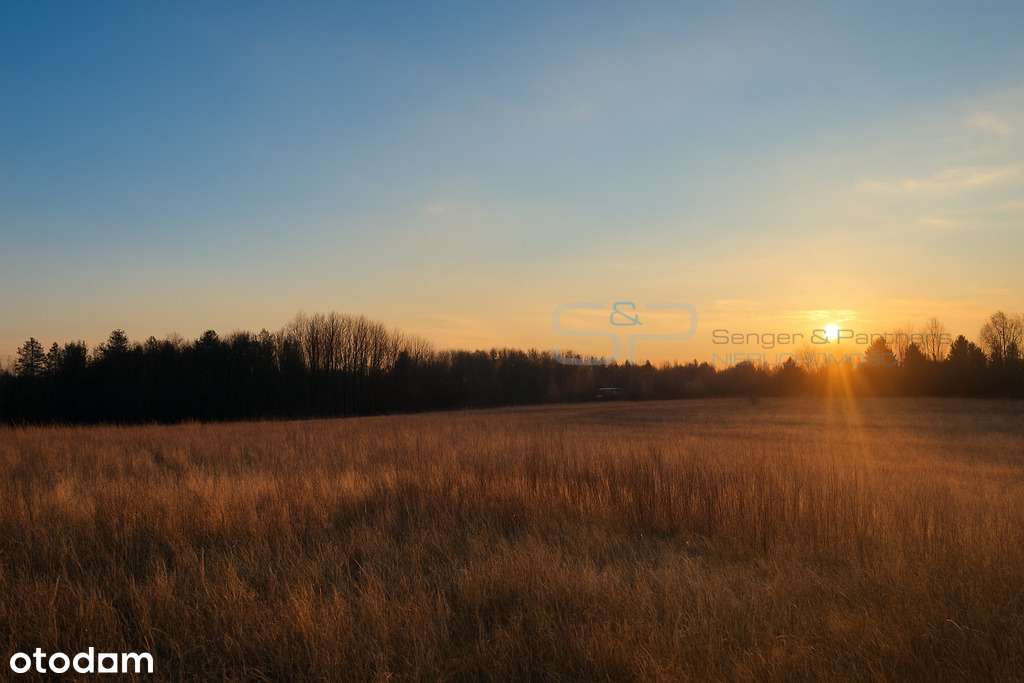 Piękna działka 1226 m2 Morasko-4