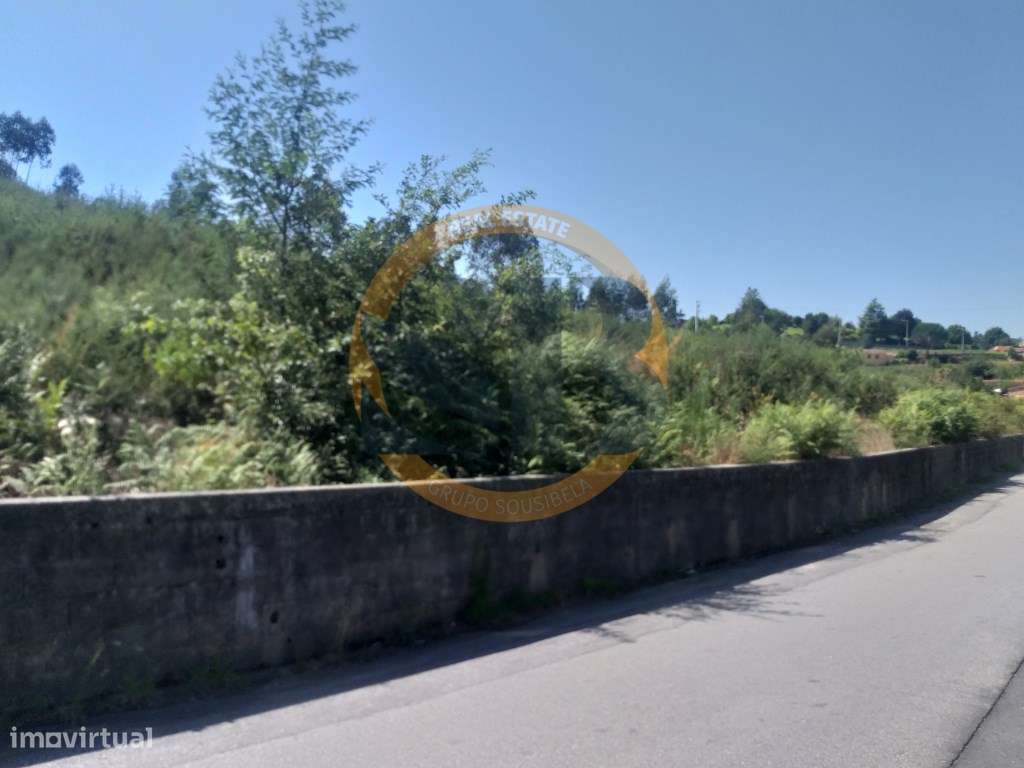 Terreno Urbano Pinheiro da Bemposta - Grande imagem: 3/3