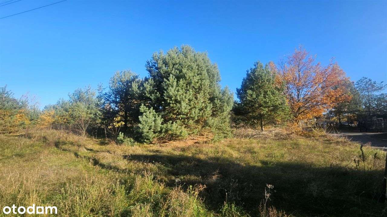 Piękne działki w Helenowie k/Sokolnik z Mpzp - Pełny obrazek: 5/5