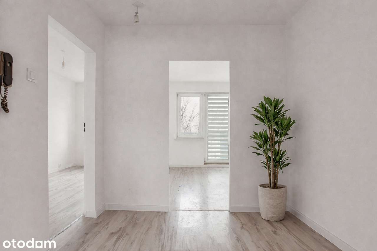 3-pokojowe mieszkanie z balkonem| os. Czwartaków| Pierwsze piętro-1