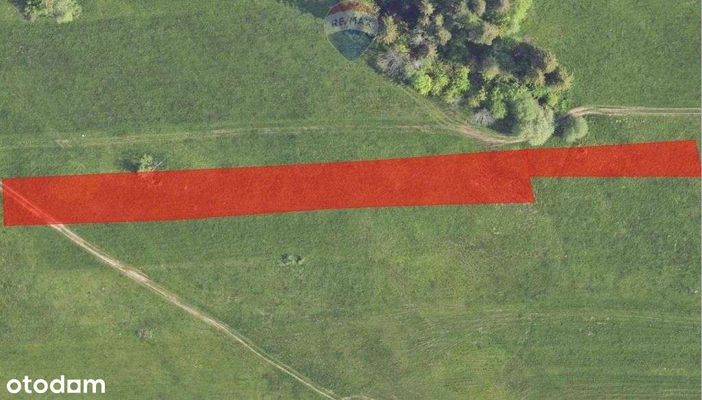 Kompleks działek rolnych Biały Dunajec - Pełny obrazek: 5/16