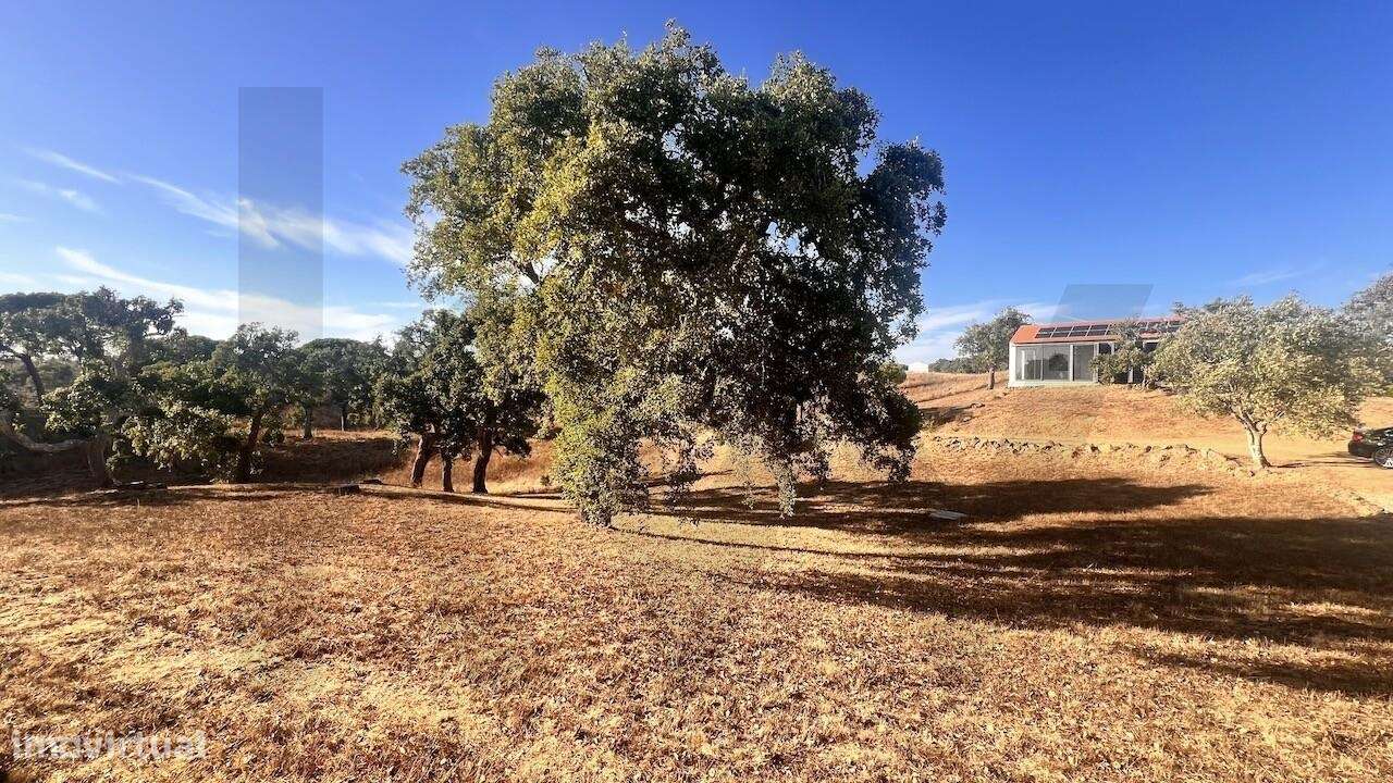 Propriedade única na Serra de Grândola - Terreno de 6,9 ha com vista p-37