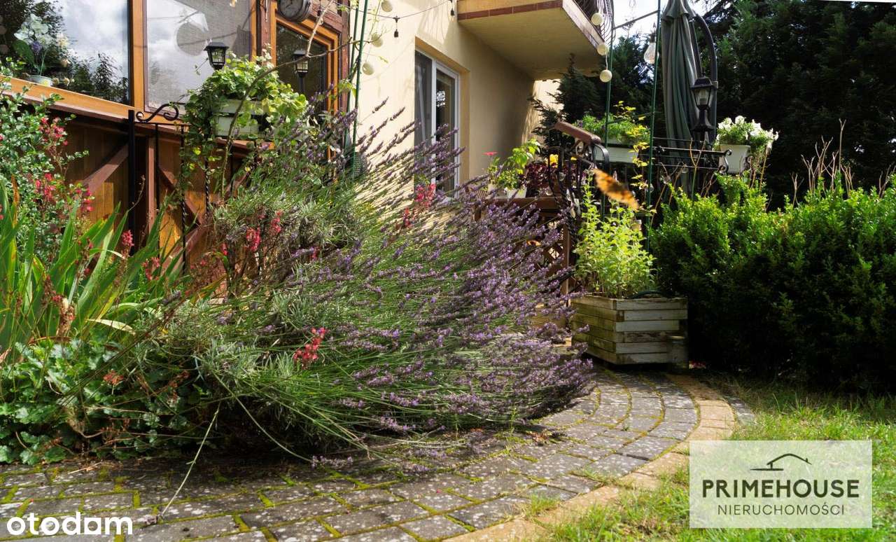 Unikatowy dom z ogrodem przy lesie ogród zimowy!-15