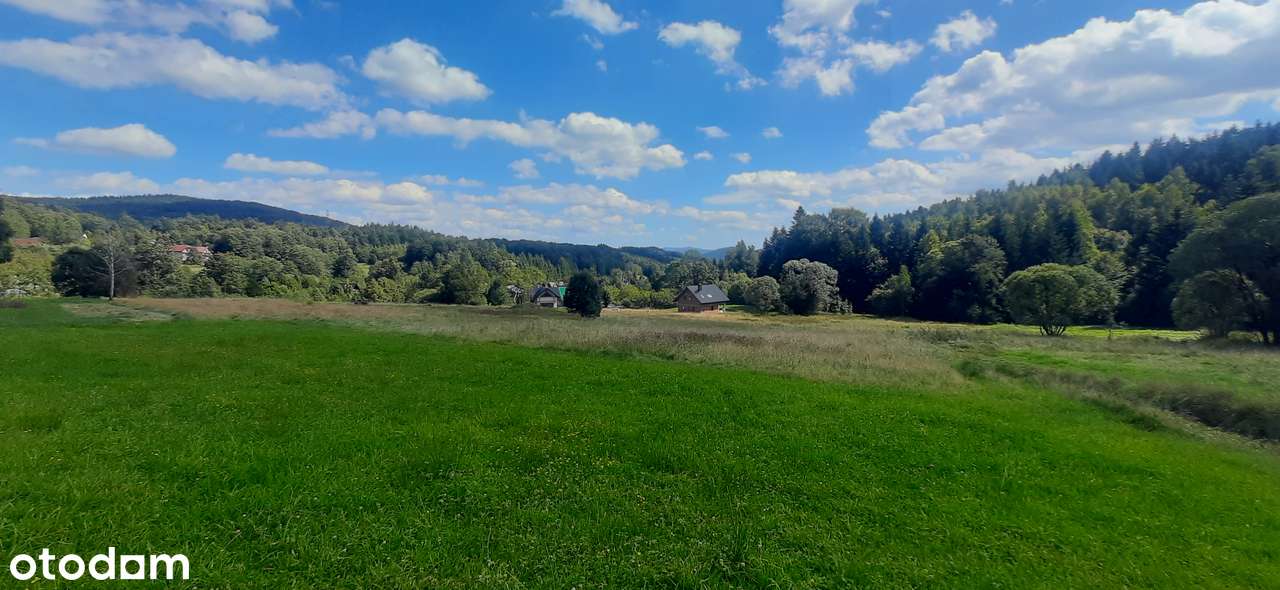 Słoneczna działka przy lesie, budowlana, 8 ar - Pełny obrazek: 4/13