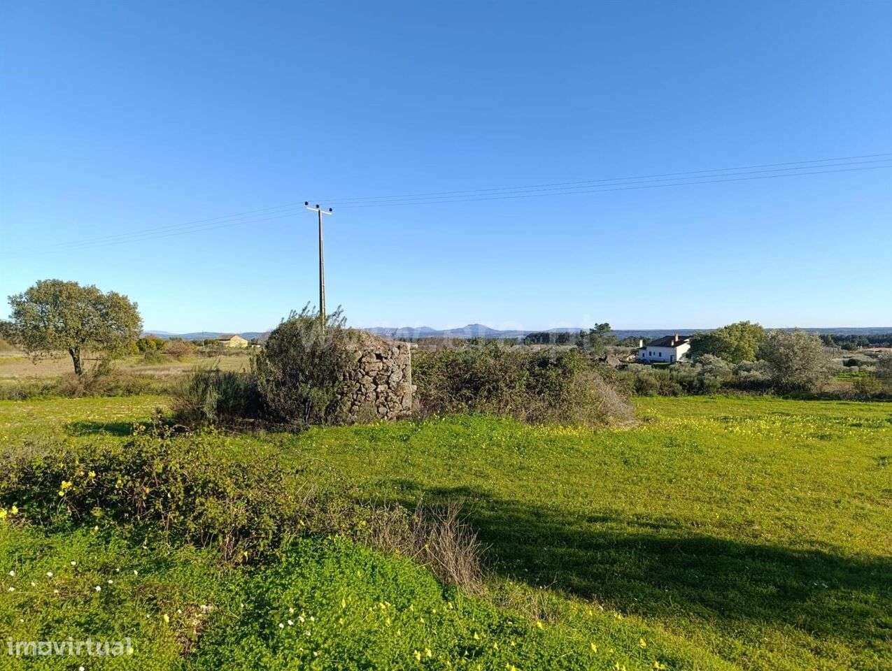 Terreno / Fundão, Vale de Prazeres e Mata da Rainha - Grande imagem: 4/13