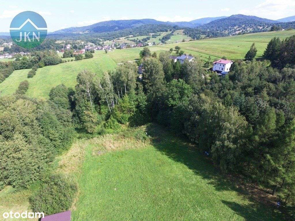 Działka z lasem w ładnym miejscu - pod rekreację - Pełny obrazek: 2/17