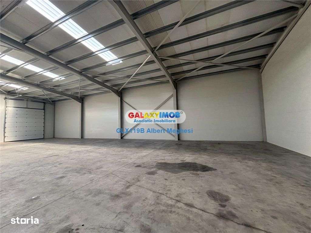Inchiriere hala depozitare Parc Industrial TBM Rudeni - Imagine principală: 4/18