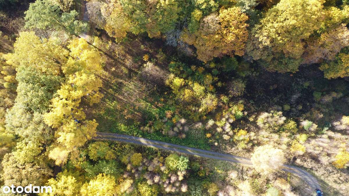 Urokliwa działka przy lesie – 16 ar, plan zagospodarowania, Milicz - Pełny obrazek: 4/9