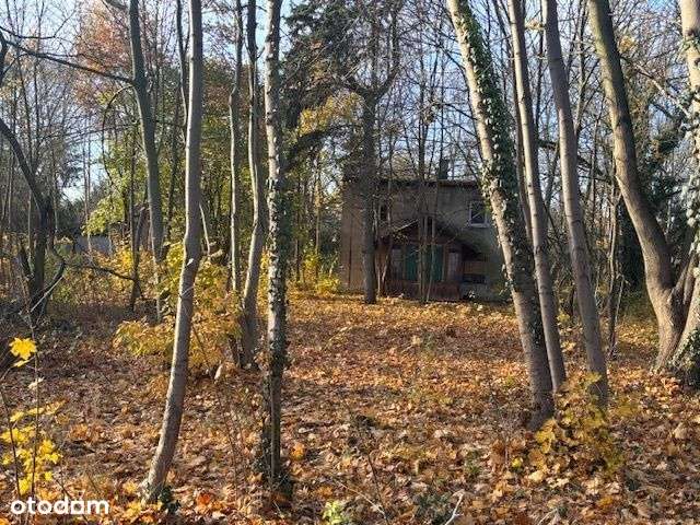 Dom przedwojenny w Puszczykowie-1