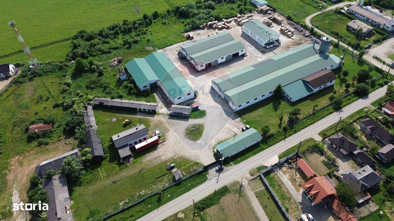 Hale de vanzare-ideale pentru depozit sau productie - Imagine principală: 4/20