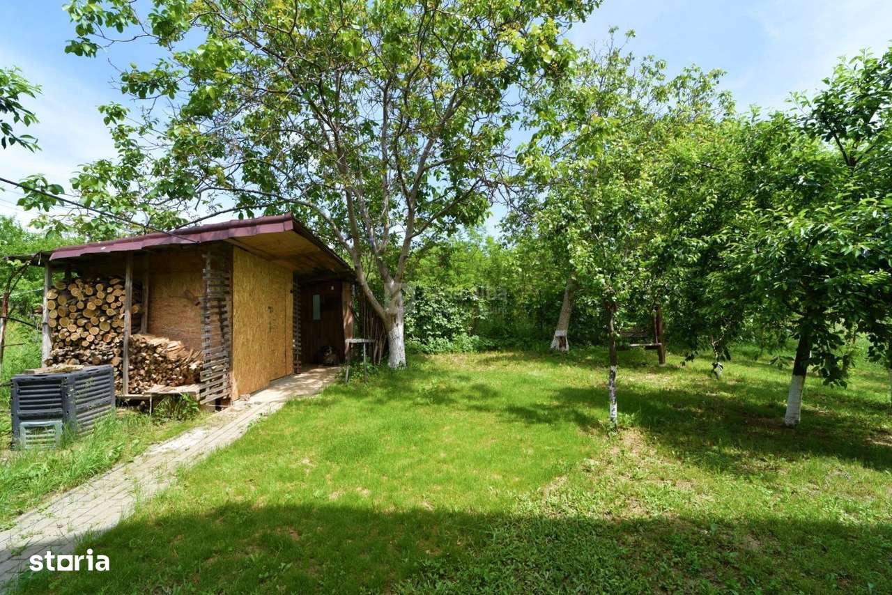 Te reconectezi si traiesti in echilibru cu tot ce te inconjoara-16