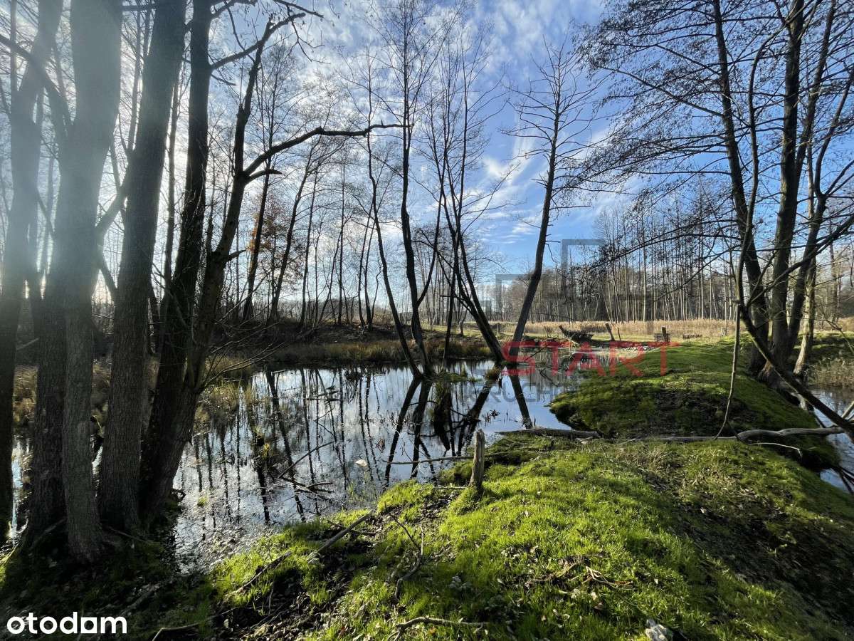 Urokliwe siedlisko w Korabiewicach - Pełny obrazek: 4/20