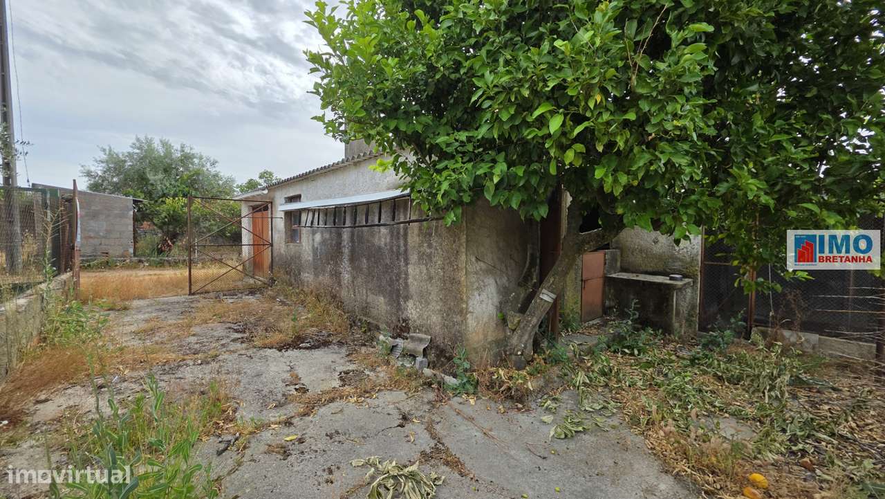 Quinta com garagem em Escalos de Cima-24