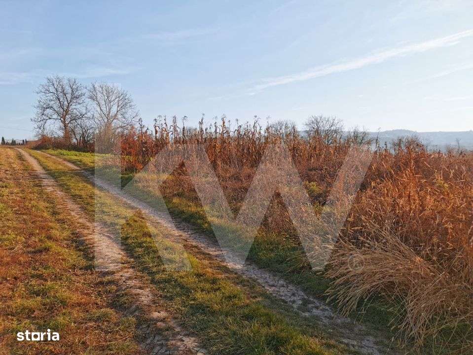 Teren intravilan 1152mp, loc de casa, utilitati, loc. Rusi, 20km Sibiu - Imagine principală: 4/6