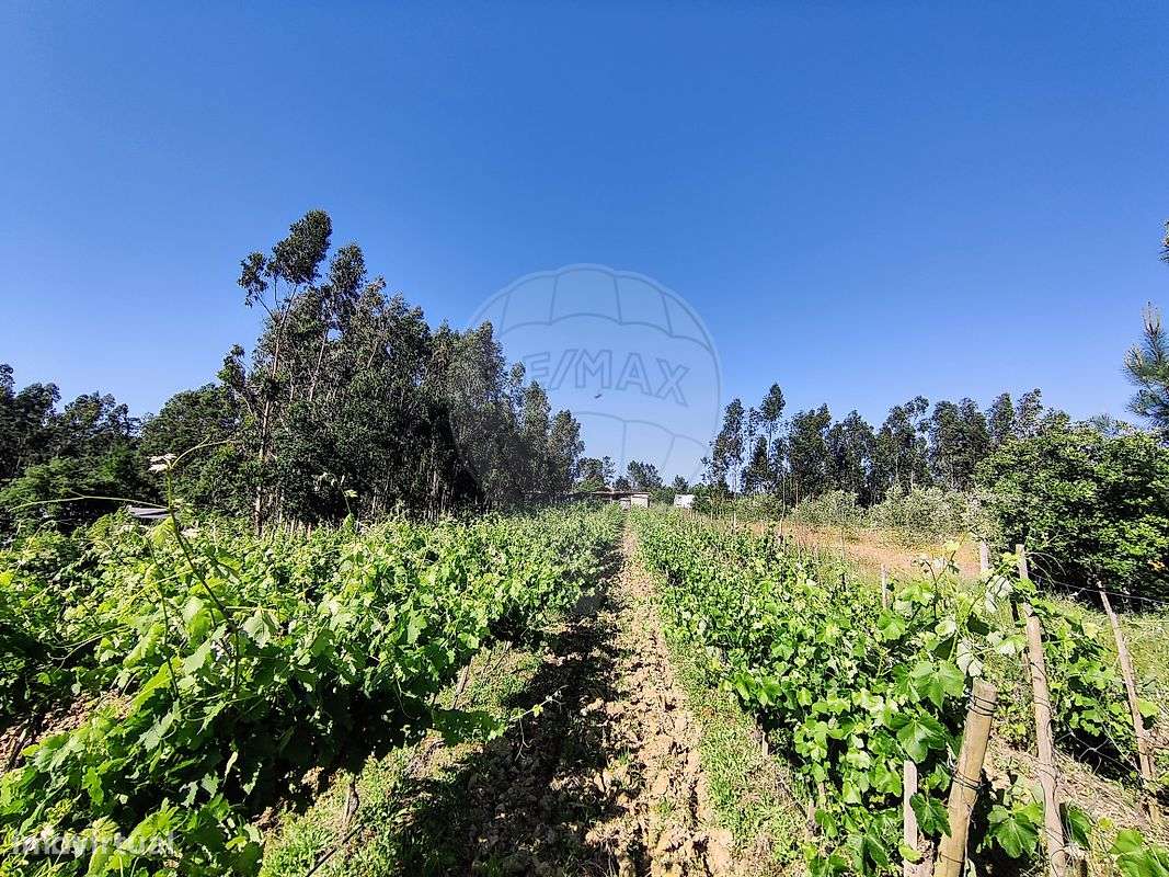 Quinta  para venda-6