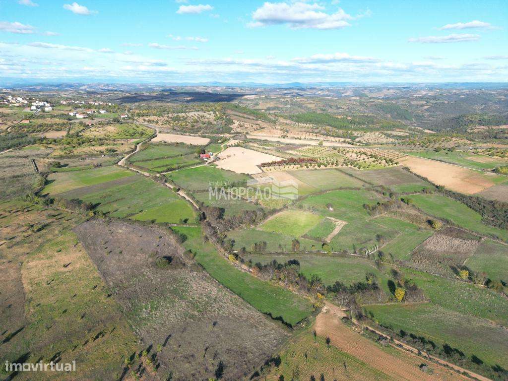 Propriedade Agrícola Parada - Bragança - Grande imagem: 5/9