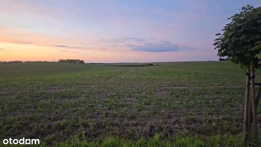 1z 2 domów jednorodzinnych90 m2 w Dolsku, pełne media, działka 1000m2-12