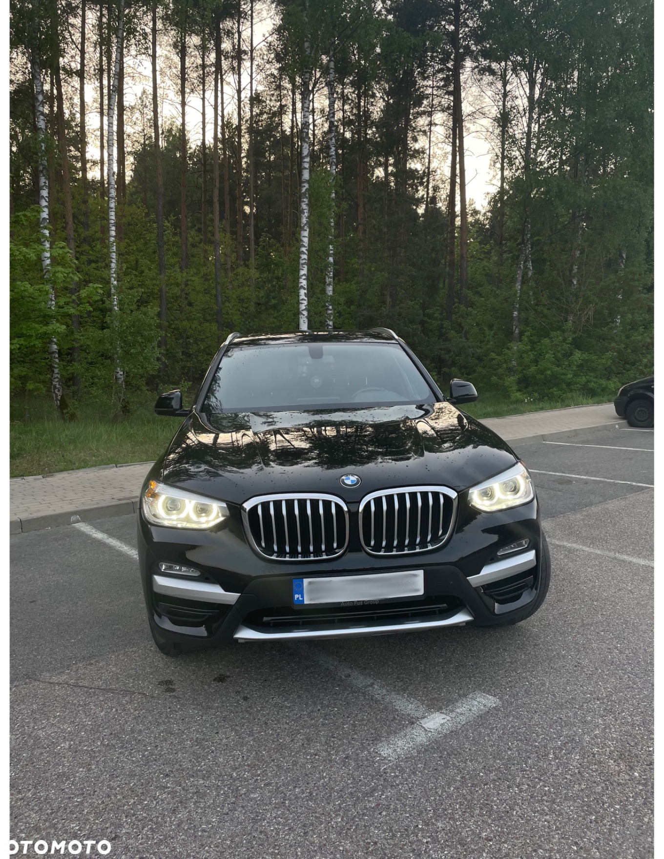 BMW X3 xDrive30i xLine - 4