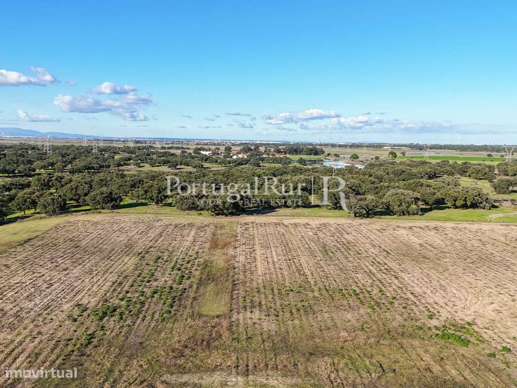 Herdade de 60 hectares para criação bovina e equina perto de Lisboa-12