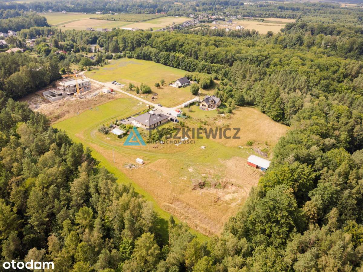 Czapielsk - piękna działka otoczona lasem! - Pełny obrazek: 5/18